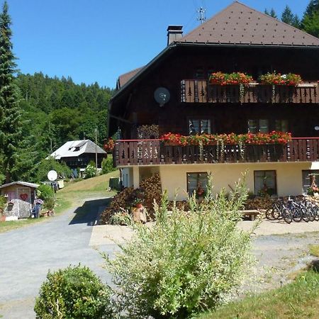Apartmán Haus Biehler Todtmoos Exteriér fotografie