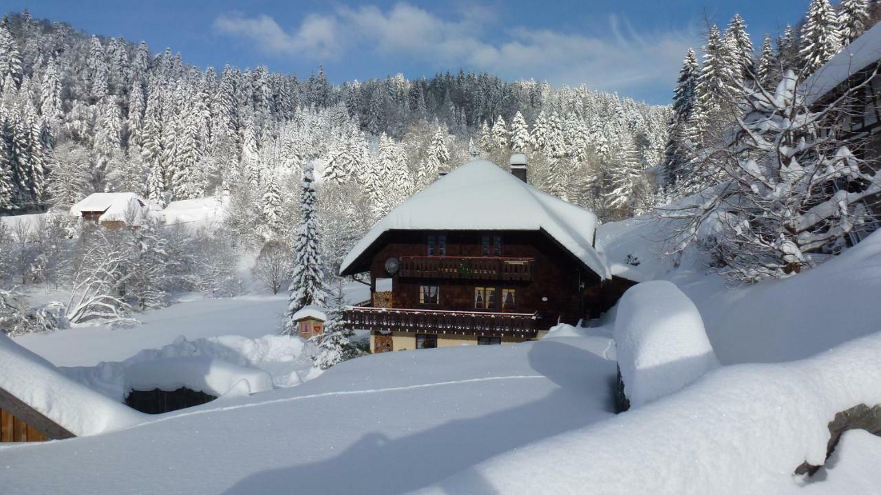 Apartmán Haus Biehler Todtmoos Exteriér fotografie