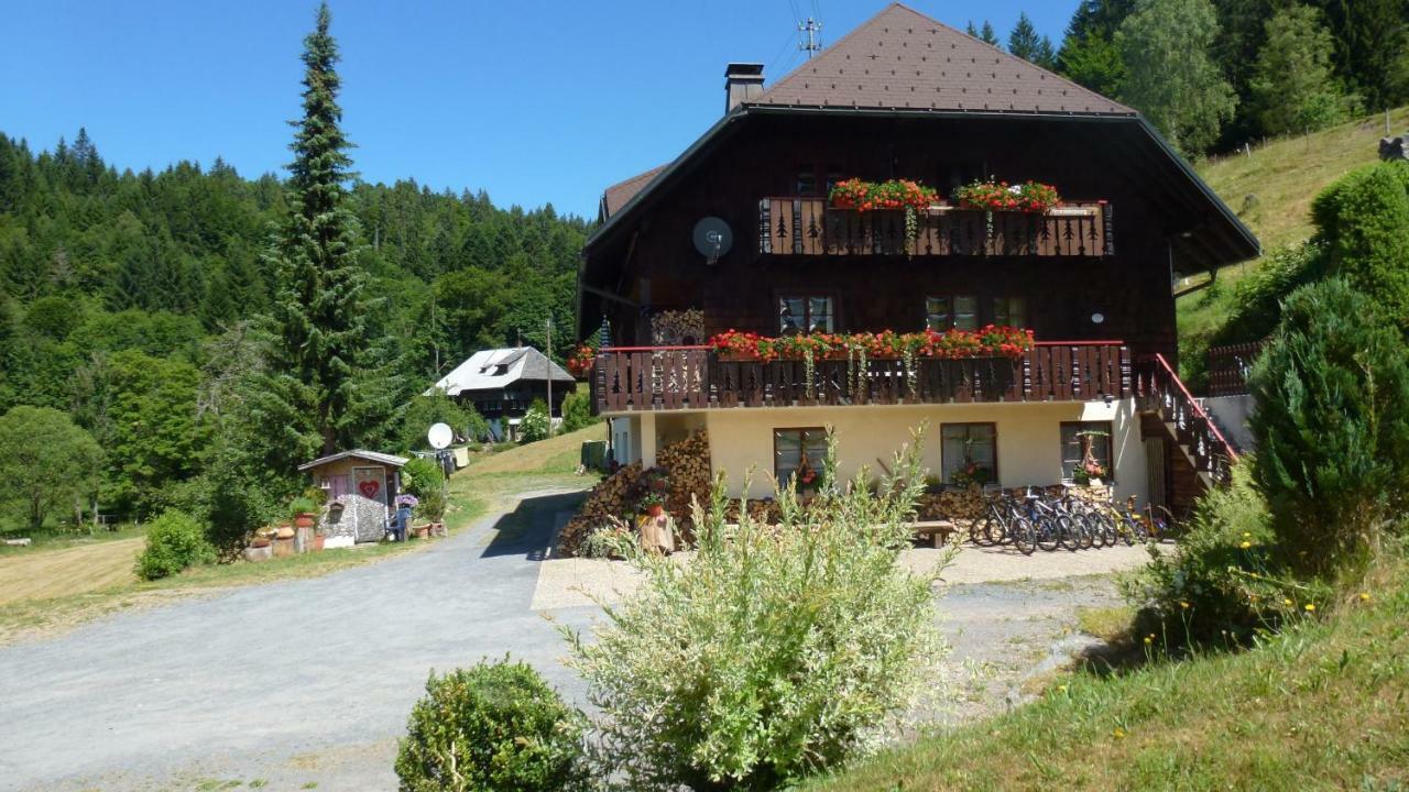 Apartmán Haus Biehler Todtmoos Exteriér fotografie